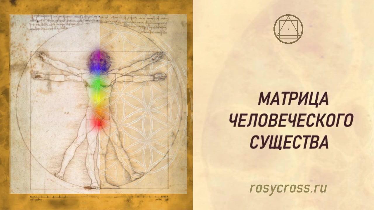 Матрица человеческого существа